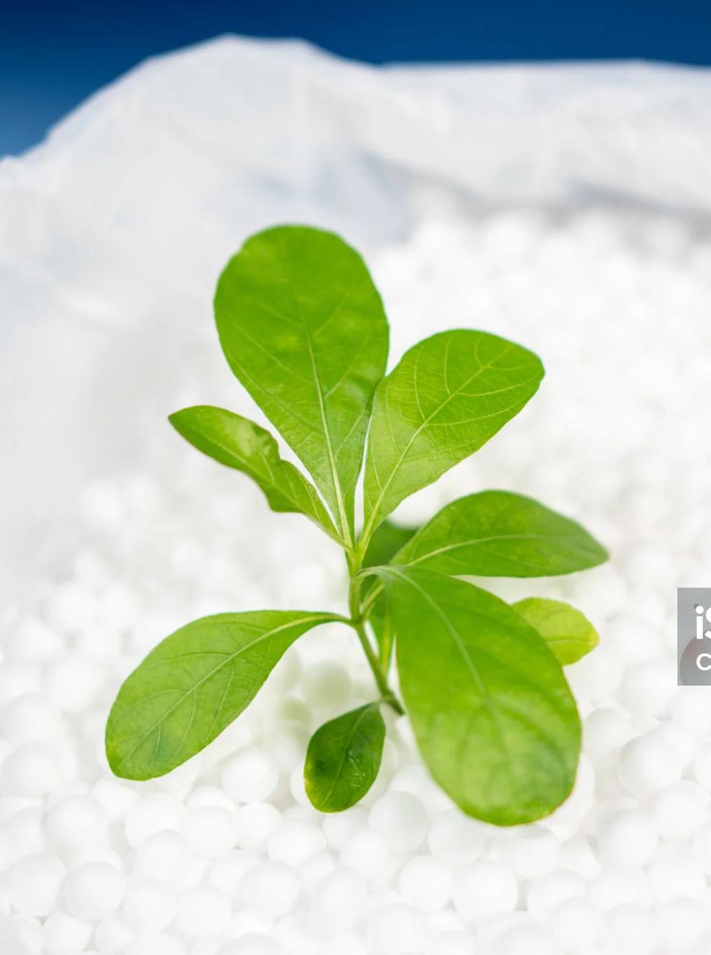 What is PLA Image
